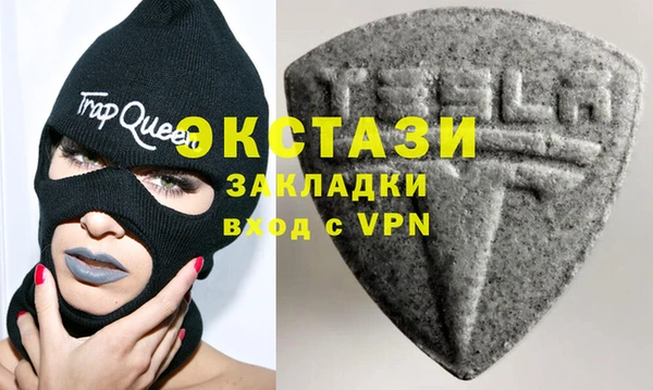 гашик Дубна