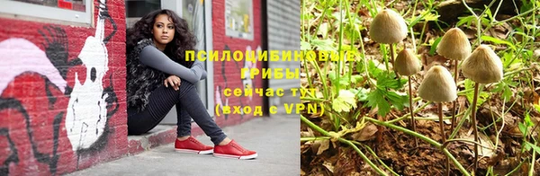 прущая мука Нягань