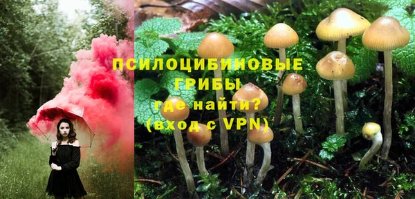 бутик Няндома