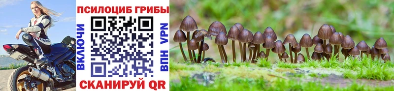 Галлюциногенные грибы Cubensis  hydra   Пудож 